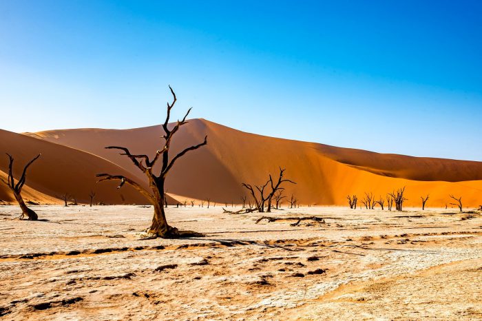 NAMIBIJA – dykuma, gentys ir žvėrys